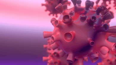 COVID-19 Support for SMEs | MCM Group COVID-19 Support for SMEs | MCM Group