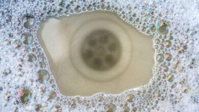 18 Things You Should Never Put Down Your Drain 18 Things You Should Never Put Down Your Drain