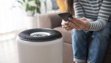 Is It Better to Have a Dehumidifier or Air Purifier in San Antonio? Is It Better to Have a Dehumidifier or Air Purifier in San Antonio?