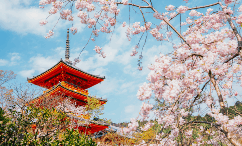 8 Best Places To Visit In Spring For Stunning Blooms 8 Best Places To Visit In Spring For Stunning Blooms