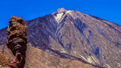 Best Things To Do In Tenerife Best Things To Do In Tenerife