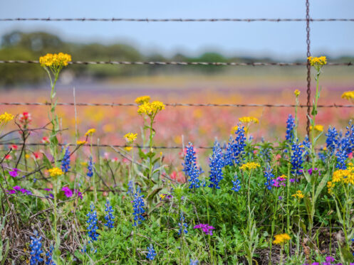 5 Signs Your AC Won’t Survive a Texas Summer (And What to Do About It) 5 Signs Your AC Won’t Survive a Texas Summer (And What to Do About It)