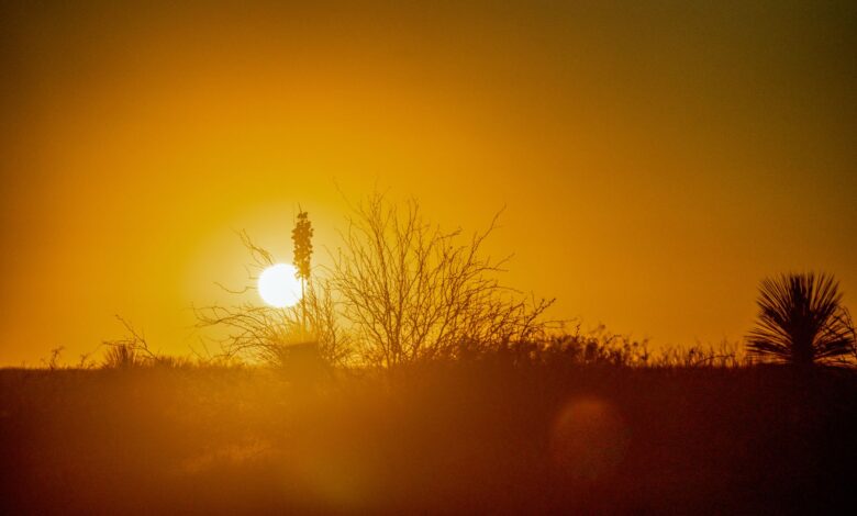 How to Prevent AC Breakdowns in North Texas Heat How to Prevent AC Breakdowns in North Texas Heat