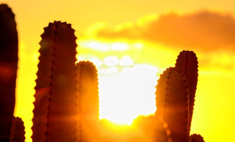 How to Keep Your AC Running in Texas Heat How to Keep Your AC Running in Texas Heat