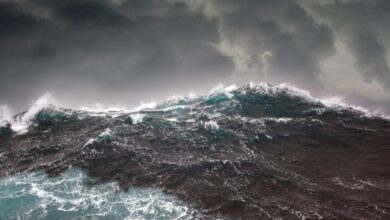 What Can You Do to Mitigate Storm Damage? What Can You Do to Mitigate Storm Damage?