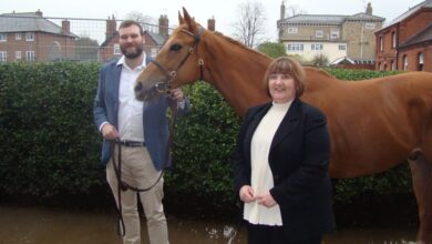 Willis, Equine MediRecord launch embedded bloodstock insurance in UK Willis, Equine MediRecord launch embedded bloodstock insurance in UK