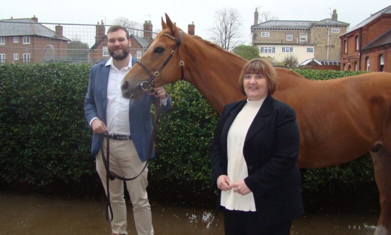Willis, Equine MediRecord launch embedded bloodstock insurance in UK