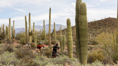 Tucson trail tips: Riding in Arizona Tucson trail tips: Riding in Arizona