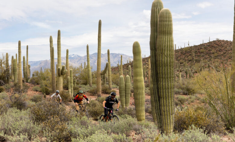 Tucson trail tips: Riding in Arizona Tucson trail tips: Riding in Arizona