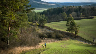 Five unknown gravel gems in Germany and the Netherlands