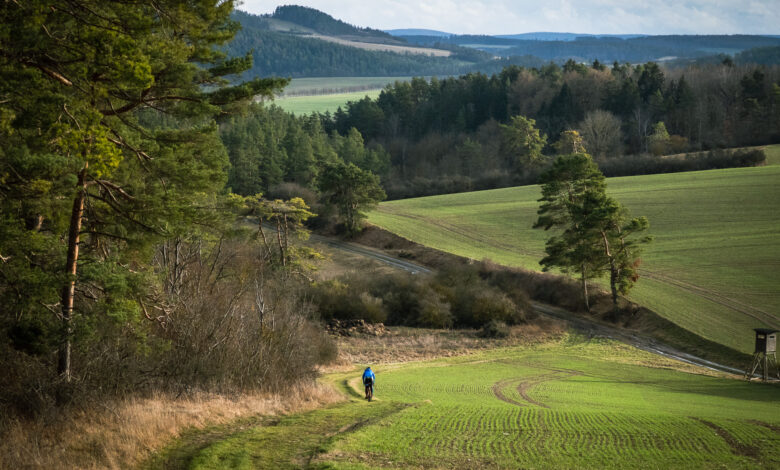 Five unknown gravel gems in Germany and the Netherlands