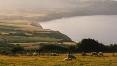 Five cycling rides inspired by Route YC Five cycling rides inspired by Route YC
