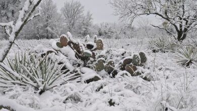 How to Prepare Your Heating System for Cold Snaps in North Texas How to Prepare Your Heating System for Cold Snaps in North Texas