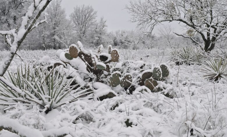 How to Prepare Your Heating System for Cold Snaps in North Texas How to Prepare Your Heating System for Cold Snaps in North Texas