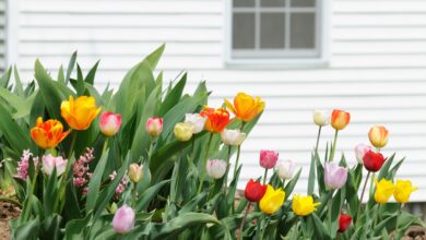 Spring AC Prep Tips for Collin County Homes