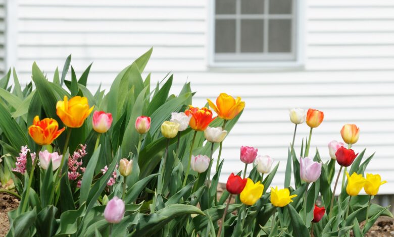 Spring AC Prep Tips for Collin County Homes Spring AC Prep Tips for Collin County Homes