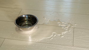 How to manage floor contamination to prevent slips How to manage floor contamination to prevent slips