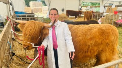 Chloe Lucas – A Walk in their Wellies blog Chloe Lucas – A Walk in their Wellies blog