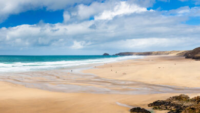 Top 7 Dog-Friendly places to visit in Cornwall this summer Top 7 Dog-Friendly places to visit in Cornwall this summer