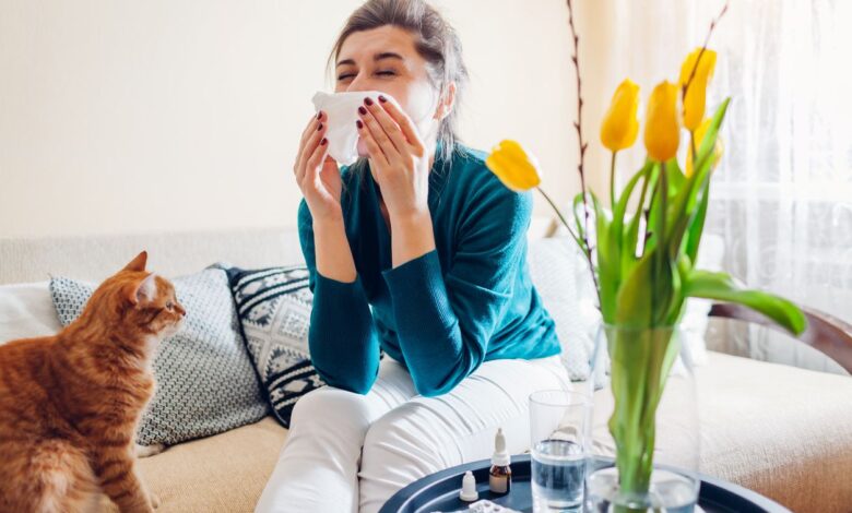 Reduce Allergens with Air Purification Reduce Allergens with Air Purification