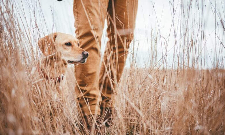 Five ways life insurance can help with inheritance tax bills Five ways life insurance can help with inheritance tax bills