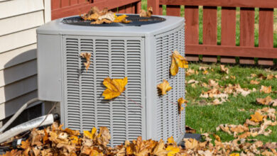 “It’s November in Texas — Mild Weather, Perfect Time for Winter Prep!” “It’s November in Texas — Mild Weather, Perfect Time for Winter Prep!”