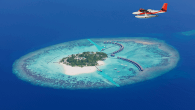Maldives Travel Guide: Your Complete Guide To Paradise