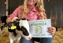 Ellie Scovell – A Walk in their Wellies blog