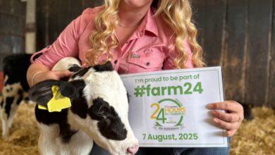 Ellie Scovell – A Walk in their Wellies blog