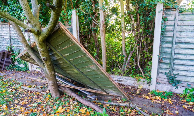 Storm damage insurance coverage for Holiday Lets