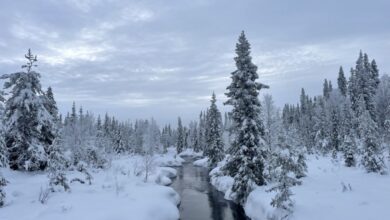 My Secret Snowy Escape To Finnish Lapland