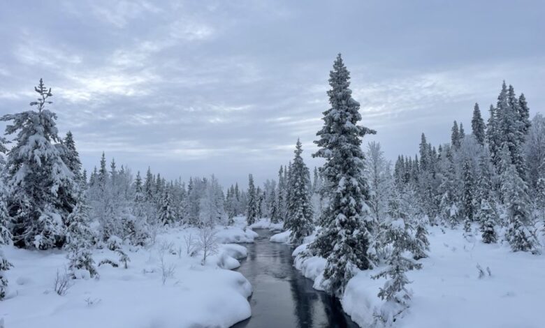 My Secret Snowy Escape To Finnish Lapland