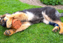 Holiday Home Insurance explained – Aspects of your policy