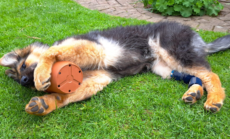 Holiday Home Insurance explained – Aspects of your policy Holiday Home Insurance explained – Aspects of your policy