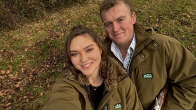 Ann Groat – A Walk in their Wellies blog