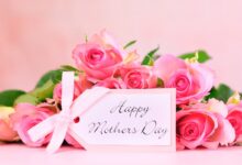 Win a £50 Bloom & Wild digital gift card