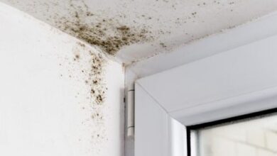 Address Your HVAC System & Mold