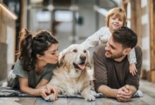 How Pets Affect Your HVAC System