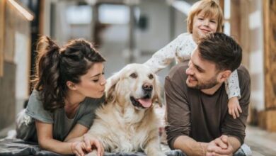 How Pets Affect Your HVAC System