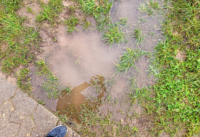 Signs of Sewer Line Damage in Your Home